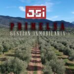 Encantadora finca en Molino Bajo, Jaén, rodeada de naturaleza