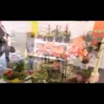 Encuentra la mejor selección de flores en floristerías de Toledo capital