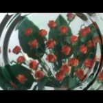 Encuentra la mejor variedad de flores en floristerías de Baza, Granada