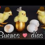 Envía hermosas postales de buenos días gratis por WhatsApp