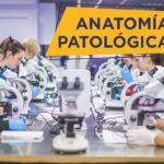 Estudia anatomía patológica y citodiagnóstico en Madrid información y opciones
