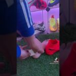Evita el dolor en tus dedos al usar Converse Consejos útiles