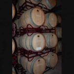 Experiencia inolvidable en Logroño: visita a bodega y estancia en hotel de lujo