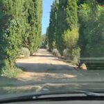 Explora la belleza natural de Villa Rosita: El Huerto de Montesinos