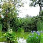 Explora la diversidad de la flora en el Jardín Botánico de Puerto de la Cruz