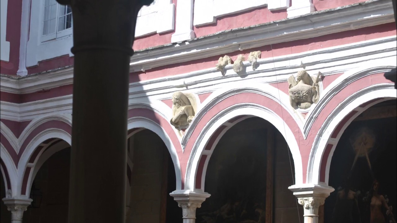 Explora la majestuosidad del Palacio de Campo Real en un viaje por la ...