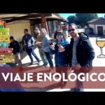 Explora los aromas y sabores del vino: visita a las mejores bodegas cerca de Madrid