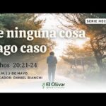 Explorando la belleza del olivar Campo Real: un viaje por los sabores de la tradición