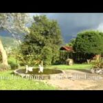 Explorando la belleza natural de Finca La Quinta Zaragoza
