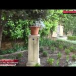 Explorando la historia de la Casa del Mayorazgo de Almería