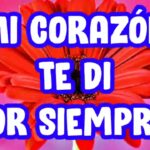 Explorando la química del amor a través de las frases más románticas