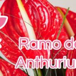 Exquisita frescura y elegancia: Ramos de flores con anturios
