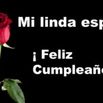 Feliz cumpleaños, mi amor: Una carta de amor para mi esposa en su día especial