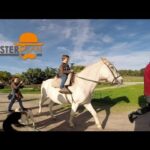 Fincas en Jaraiz de la Vera: Encuentra tu Paraíso Natural