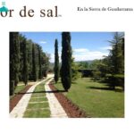 Flor de Sal Catering: Exquisitas propuestas culinarias para tus eventos