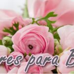 Flores de septiembre ideales para tu ramo de novia