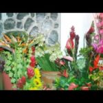 Flores frescas y arreglos florales en Jaén: descubre las mejores floristerías en la capital