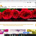Flores María del Prado: La belleza y elegancia que solo la naturaleza puede crear