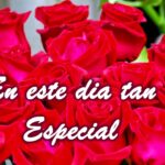 Flores que alegran el cumpleaños de tu mejor amiga: Ramos de felicitación
