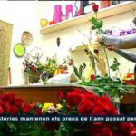 Floristerías en Caldes de Montbui: La belleza de la naturaleza al alcance de tus manos
