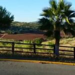 Fotografías de la impresionante Dehesa El Palmitero