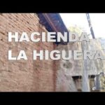Fotos de la encantadora Finca Las Higueras en pleno esplendor