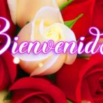 Frases de bienvenida para hacer sentir como en casa a tus nuevos vecinos