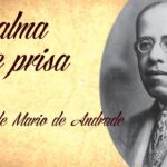 Frases de mariposas en el alma para reflexionar sobre el significado