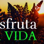 Frases inspiradoras para vivir el momento y disfrutar al máximo
