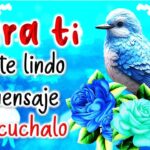 Frases motivadoras con imágenes bonitas para inspirarte cada día