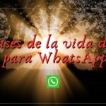 Frases motivadoras para superar la vida dura, ¡compártelas en WhatsApp!