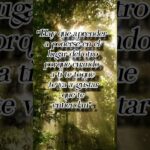 Frases para ponerse en el lugar del otro y mejorar tus relaciones