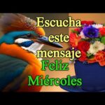 Frases positivas para alegrar tu miércoles y ser feliz