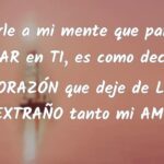 Frases que describen el dolor de echar de menos a tu pareja