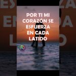 Frases que siempre estarán en mi mente