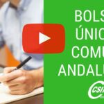 Funcionamiento de las bolsas de interinos en Andalucía Guía completa