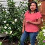 Gardenias de interior vs Gardenias de exterior ¿Cuáles son las diferencias?