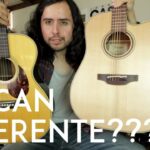 Guitarra de 12 cuerdas ¿Por qué deberías considerarla para tus actuaciones?