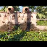 Hacienda La Masia Linares: un oasis de tranquilidad en el corazón de la naturaleza