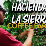 Hacienda La Sierra: Una joya colonial en Córdoba