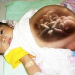 Hijas de la Caridad Su papel en la comunidad de Luz y Sal