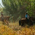 Hoteles por horas en Jerez de la Frontera: La opción perfecta para una escapada exprés