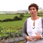 Huertas de fin de semana en Asturias: una experiencia rural única