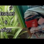 Ideas de regalo para el cumpleaños de una niña de 6 años