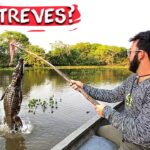 Ideas para descubrir los encantos de Los Llanos durante tus viajes