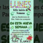 Imágenes bonitas para alegrar tu feliz lunes