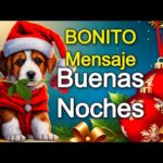 Imágenes de buenas noches con mensajes bonitos: la mejor colección