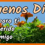Imágenes de buenos días para sorprender a tu amigo especial