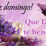Imágenes de Feliz Domingo para WhatsApp: Tarjetas llenas de alegría