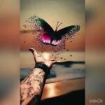 Imágenes hermosas para WhatsApp: sin frases pero llenas de emotividad